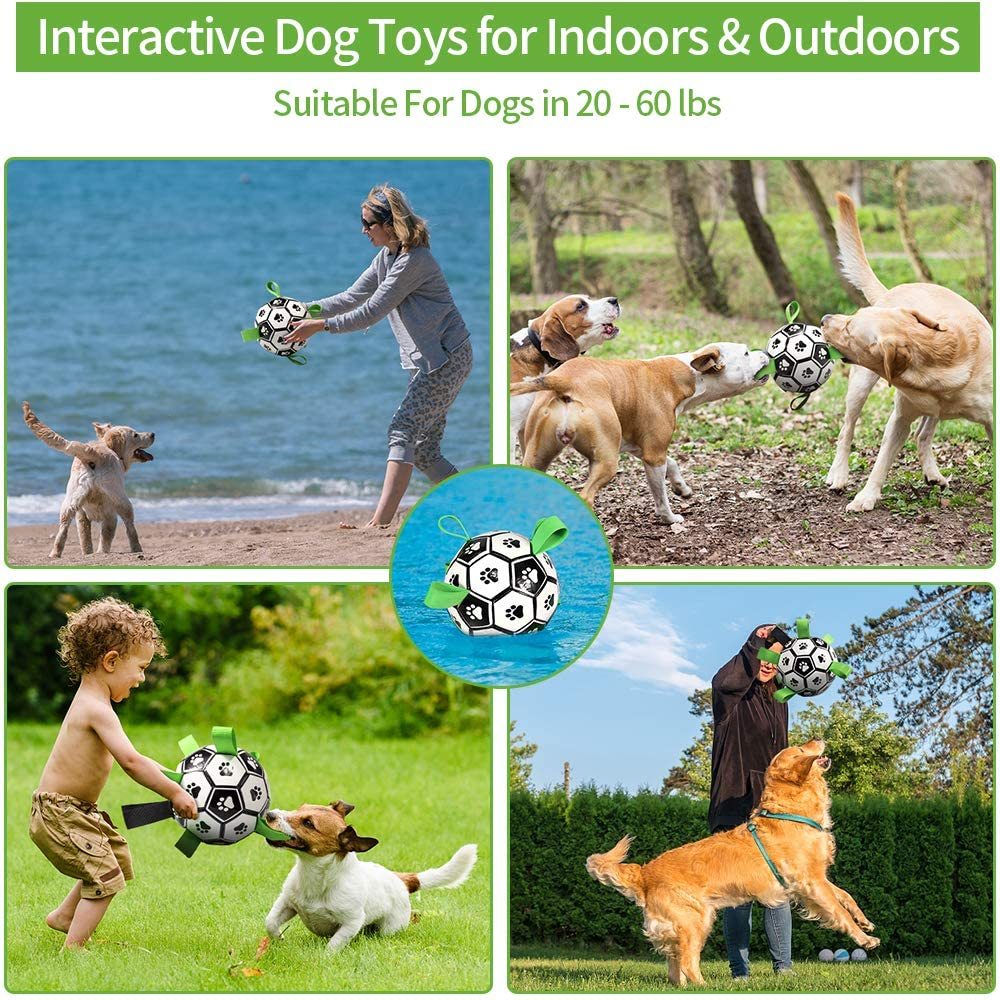 Giocattoli per cani Giocattoli interattivi da calcio per animali domestici con linguette per cani Allenamento all'aperto per cani Palline da masticare per morsi di animali domestici per accessori per cani 